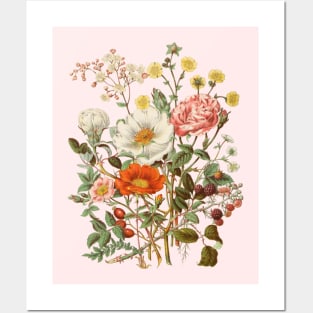 Rose & Wildflowers Vintage Botanical Illustration Posters and Art